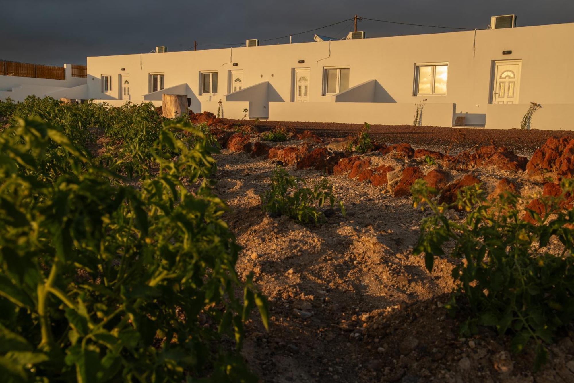 Calma Eco Houses Sunset View Emporio  Extérieur photo